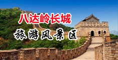 吊女生BB网站中国北京-八达岭长城旅游风景区